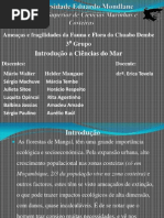 Ameacas e Fragilidades Da Fauna e Flora Do Mangal de Chuabo Dembe