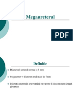 Mega Ureter Ul