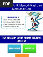 Download Teknik Modifikasi dan Mutasi GenTeknologi Bioproses Universitas Indonesia by Muslimah SN207377390 doc pdf