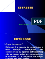 ESTRESSE (1)