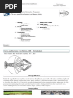 Download FAO Fisheries  Aquaculture - Cultured Aquatic Species Information Programme - Cherax Quadricarinatus Von Martens 1868 by Maria Arredondo SN207387125 doc pdf