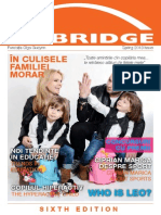 The Bridge PDF