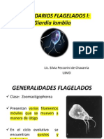 Clase - Giardia, Chilomastix
