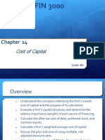 Cost of Capital: Liuren Wu