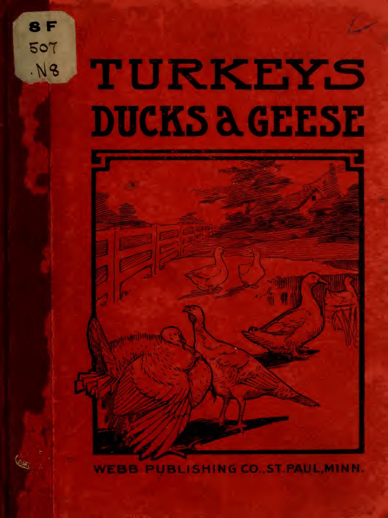 Turkeys, Ducks and Geese | PDF | Chicken | Poultry