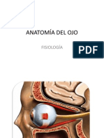 Anatomia Del Ojo