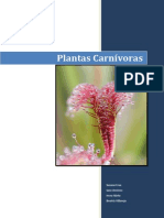 plantas_carnivoras