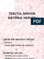 10) Tesut Nervos