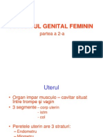 LP 11 - Aparat Genital Feminin 2