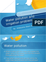 Water P Ollution and Irrigatio N Proble MS: Eboni, Rakira, and Nar Ia