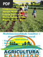 A Multifuncionalidade Da Agricultura Familiar No Brasil Grupo