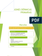 Lesiones Dérmicas Primarias