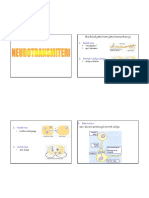 Neurotransmiteri