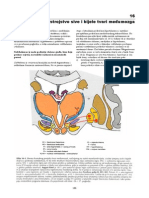 Temelji Neuroznanosti - 16 Poglavlje