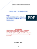 Principales Inmovilizaciones PDF