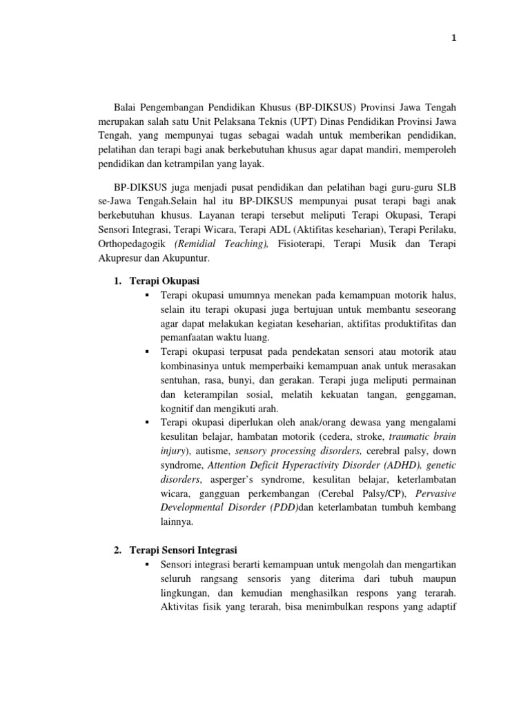 Macam-Macam Terapi Delay Development | PDF