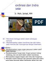 Sistem Koordinasi Dan Indra Pada Manusia