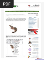 Download Cara Menghapus Background Putih Pada Objek Foto by Fathin Azka SN207493390 doc pdf