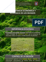 Importancia Ecológica y Económica de Bryophyta (Musgos)