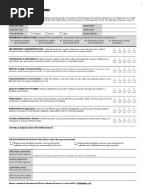 Performance Review Form