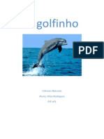 O Golfinho