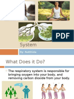 The Respiratory System