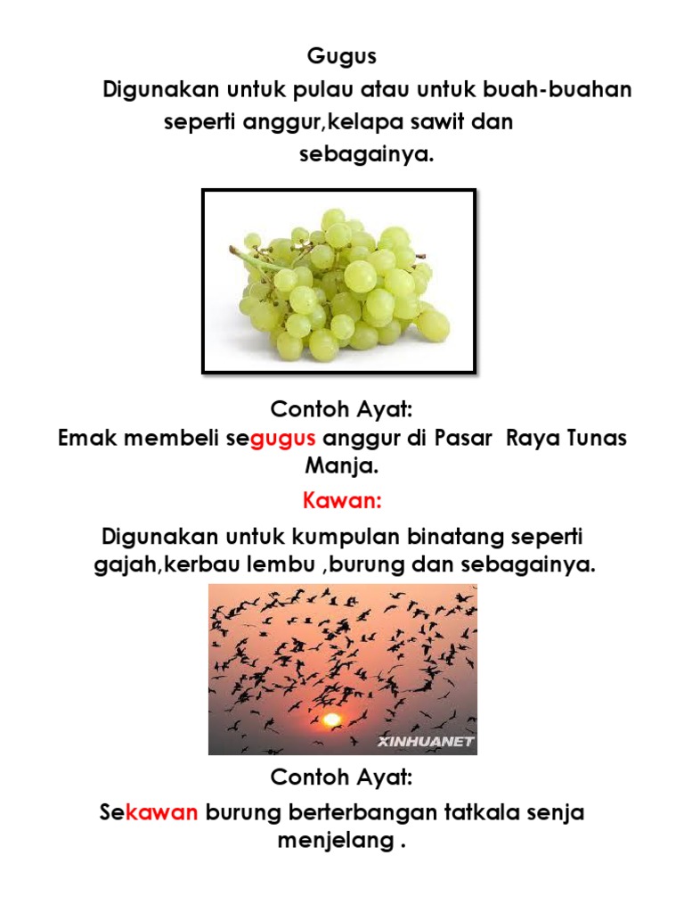 Penjodoh Bergambar Pdf