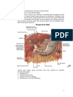 Wrap Up Sindrom Dispepsia