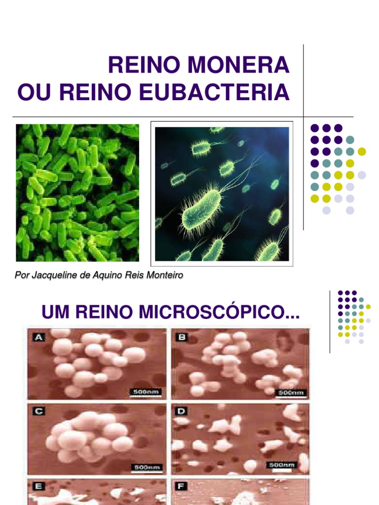 Reino Monera | PDF | Bactérias | Doenças de animais