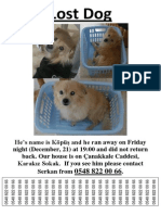 Lost Dog.docx