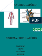 sistemacirculatrio-110525140922-phpapp01