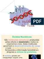 Ácidos Nucleicos