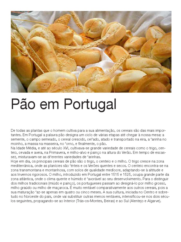 Pao Em Portugal Breads Maize