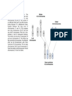 Robertsonian Translocation