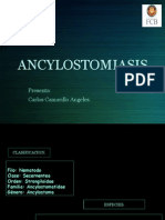 Ancylostomiasis 130523234611 Phpapp01manuela2