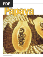 Papaya,Antiossidante Naturale