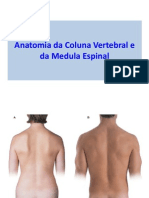 anatomiadacolunavertebraledamedulaespinal-120825090548-phpapp02
