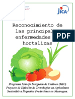 Manual de Enfermedades de Hortalizas