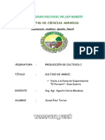 Informe Del Cultivo de Arroz-Inia - Pilco