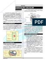 02-Citologia-Organização Celular