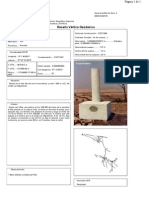 Vertice Geodesico Facerretama