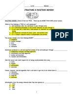 Cell Structure & Function Review