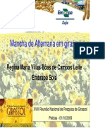 Palestra Mancha de Alternaria em Girassol