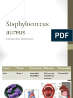 Staphylococcus Aureus