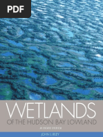 Wetlands of Hudson Bay