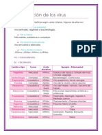 Clasificación de virus por características