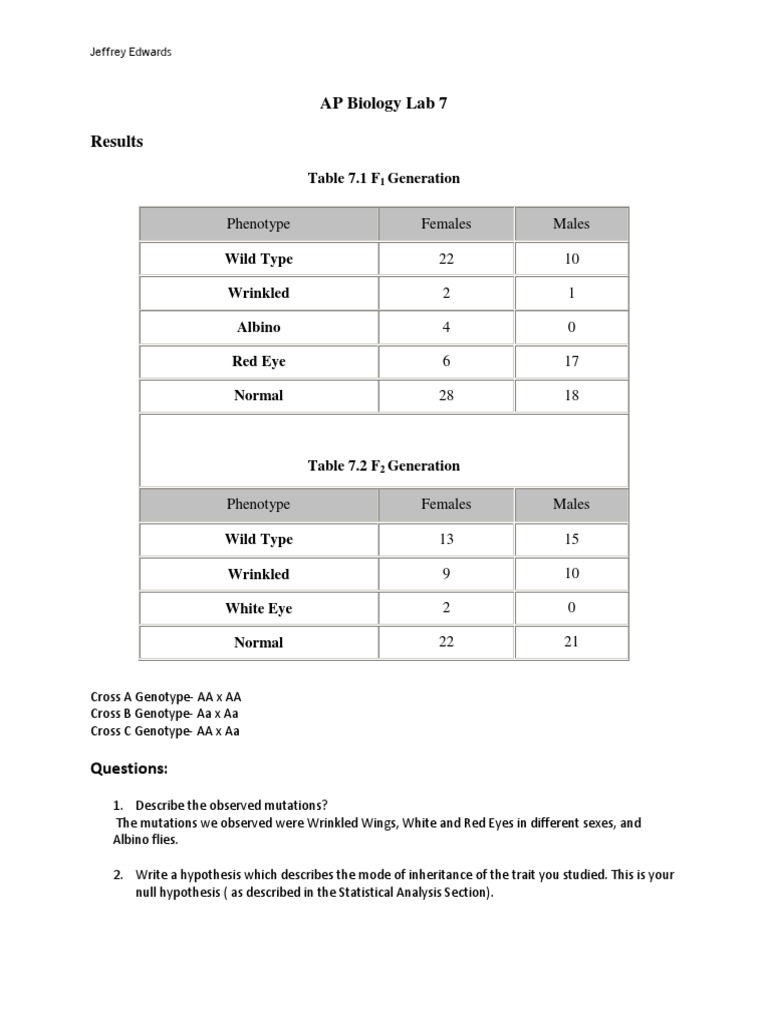 Ap biology photosynthesis essay rubric image