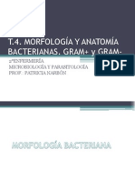 t 4 Morfologayanatomabacterianas 120511195614 Phpapp01