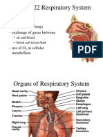 22 Respiratory System