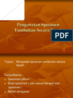 Pengawetan basah tumbuhan